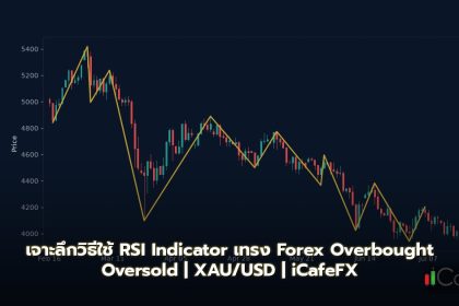 RSI Indicator วิธีใช้ Overbought Oversold Divergence Forex