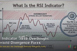RSI Indicator วิธีใช้ Overbought Oversold Divergence Forex