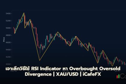 RSI Indicator วิธีใช้ RSI หา Overbought Oversold Divergence Forex