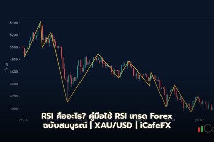 RSI คู่มือใช้ RSI เทรด Forex ฉบับสมบูรณ์ Overbought Oversold Divergence