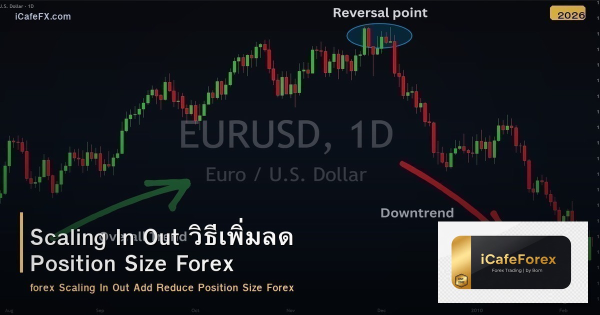 Scaling In Out วิธีเพิ่มลด Position Size Forex