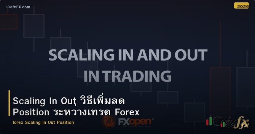 Scaling In Out วิธีเพิ่มลด Position ระหว่างเทรด Forex