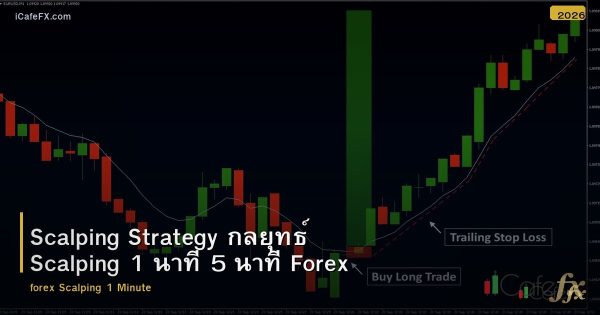 Scalping Strategy กลยุทธ์ Scalping 1 นาที 5 นาที Forex