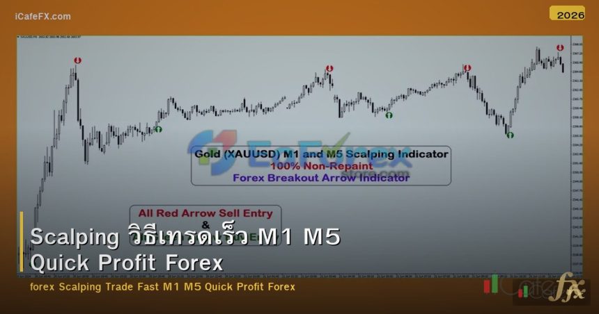 Scalping วิธีเทรดเร็ว M1 M5 Quick Profit Forex