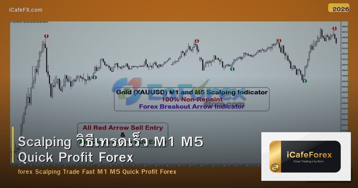 Scalping วิธีเทรดเร็ว M1 M5 Quick Profit Forex