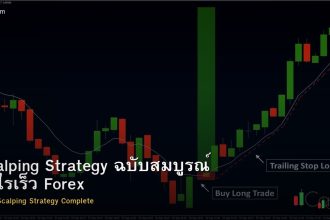 Scalping Strategy ฉบับสมบูรณ์ กำไรเร็ว Forex