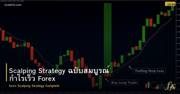 Scalping Strategy ฉบับสมบูรณ์ กำไรเร็ว Forex