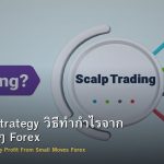 Scalping Strategy วิธีทำกำไรจาก Move เล็กๆ Forex