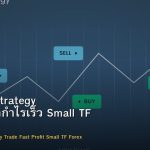 Scalping Strategy วิธีเทรดทำกำไรเร็ว Small TF Forex