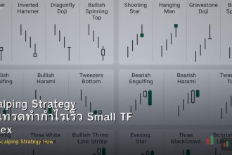Scalping Strategy วิธีเทรดทำกำไรเร็ว Small TF Forex