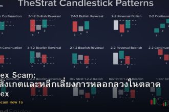 Forex Scam: วิธีสังเกตและหลีกเลี่ยงการหลอกลวงในตลาด Forex