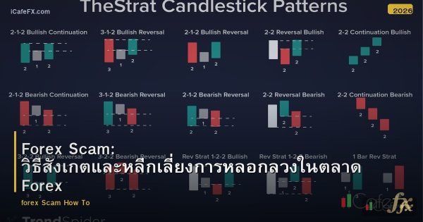 Forex Scam: วิธีสังเกตและหลีกเลี่ยงการหลอกลวงในตลาด Forex
