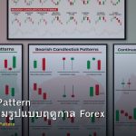 Seasonal Pattern วิธีเทรดตามรูปแบบฤดูกาล Forex