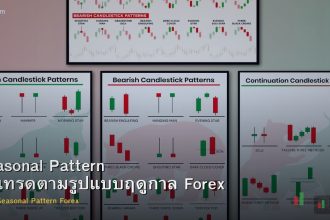 Seasonal Pattern วิธีเทรดตามรูปแบบฤดูกาล Forex