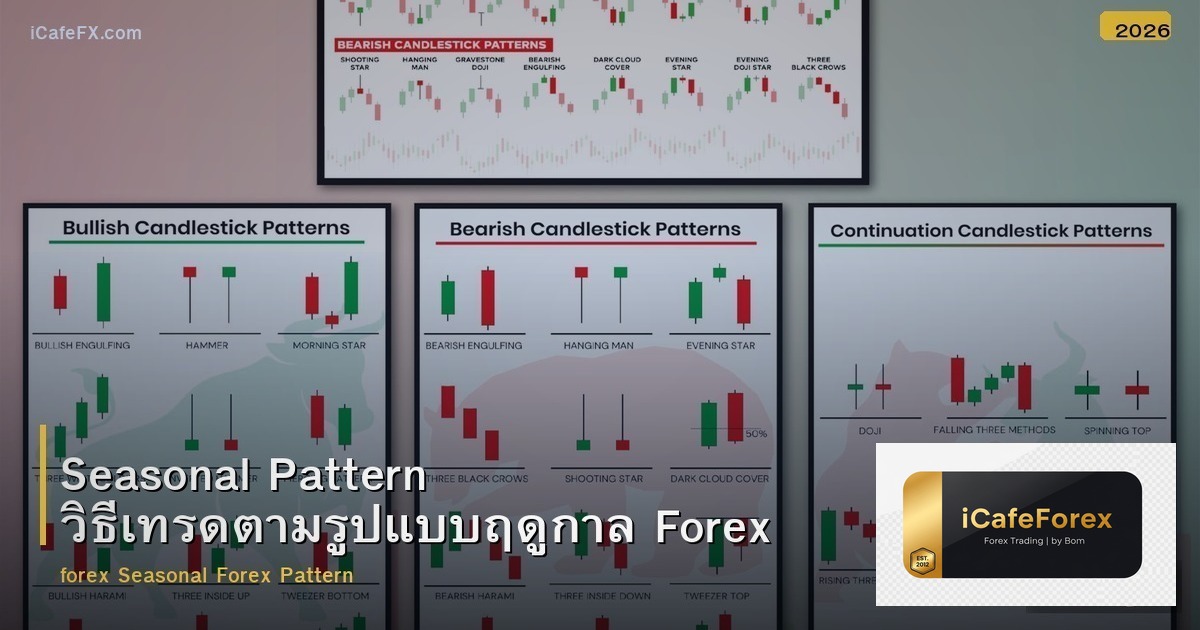 Seasonal Pattern วิธีเทรดตามรูปแบบฤดูกาล Forex