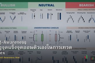 Self-Awareness วิธีรู้จุดแข็งจุดอ่อนตัวเองในการเทรด Forex