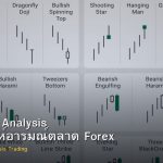 Sentiment Analysis วิธีวิเคราะห์อารมณ์ตลาด Forex