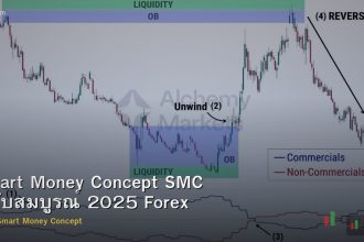 Smart Money Concept SMC ฉบับสมบูรณ์ 2025 Forex