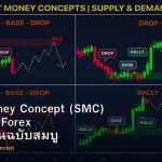 Smart Money Concept (SMC) คู่มือเทรด Forex ตามสถาบันฉบับสมบูรณ์