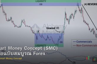 Smart Money Concept (SMC) คู่มือฉบับสมบูรณ์ Forex