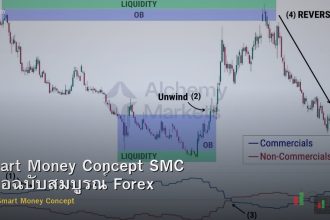 Smart Money Concept SMC คู่มือฉบับสมบูรณ์ Forex