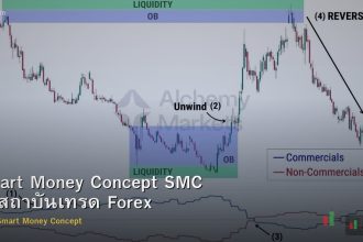 Smart Money Concept SMC วิธีสถาบันเทรด Forex
