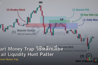 Smart Money Trap วิธีหลีกเลี่ยง Retail Liquidity Hunt Pattern Forex
