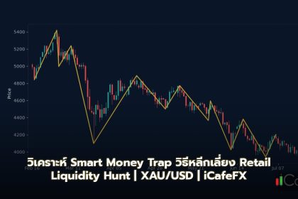 Smart Money Trap วิธีหลีกเลี่ยง Retail Liquidity Hunt Pattern Forex