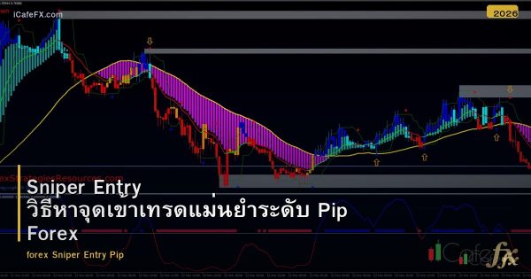 Sniper Entry วิธีหาจุดเข้าเทรดแม่นยำระดับ Pip Forex