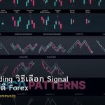 Social Trading วิธีเลือก Signal Provider ที่ดี Forex