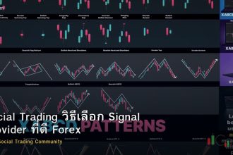 Social Trading วิธีเลือก Signal Provider ที่ดี Forex