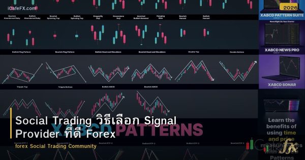 Social Trading วิธีเลือก Signal Provider ที่ดี Forex