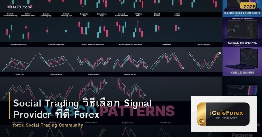 Social Trading วิธีเลือก Signal Provider ที่ดี Forex