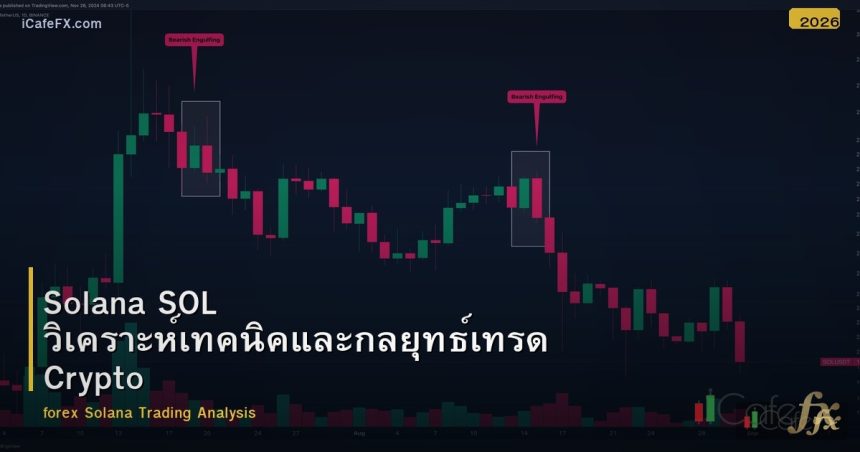 Solana SOL วิเคราะห์เทคนิคและกลยุทธ์เทรด Crypto