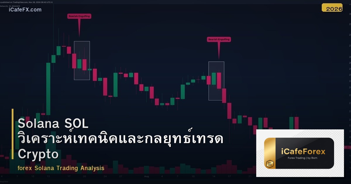Solana SOL วิเคราะห์เทคนิคและกลยุทธ์เทรด Crypto