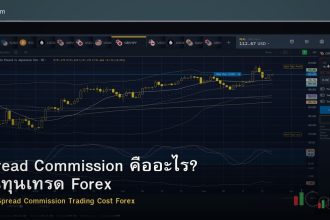 Spread Commission คืออะไร? ต้นทุนเทรด Forex