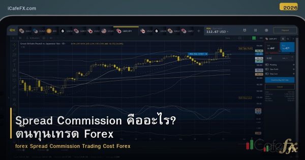 Spread Commission คืออะไร? ต้นทุนเทรด Forex