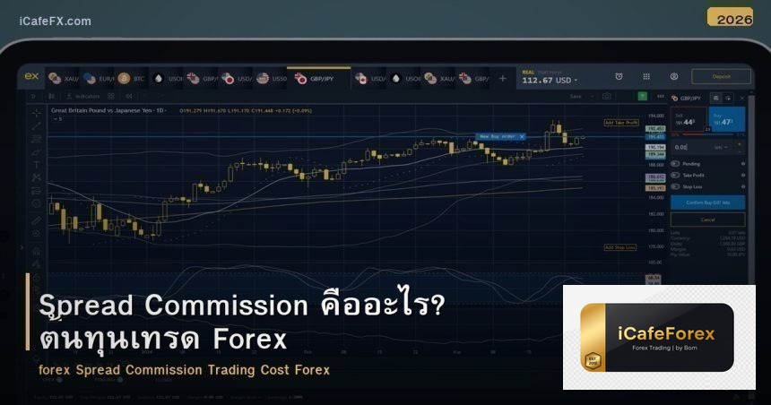 Spread Commission คืออะไร? ต้นทุนเทรด Forex
