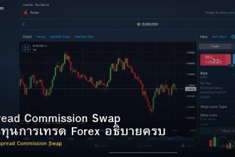 Spread Commission Swap ต้นทุนการเทรด Forex อธิบายครบ