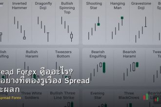 Spread Forex คืออะไร? ทุกอย่างที่ต้องรู้เรื่อง Spread และผลกระทบต่อการเทรด