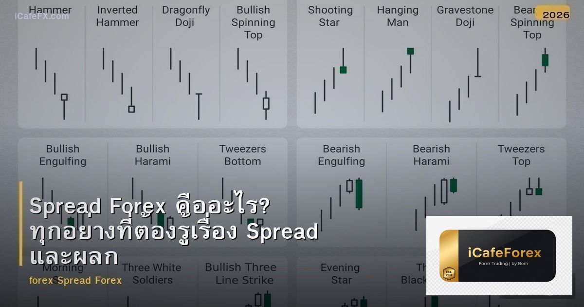 Spread Forex คืออะไร? ทุกอย่างที่ต้องรู้เรื่อง Spread และผลกระทบต่อการเทรด