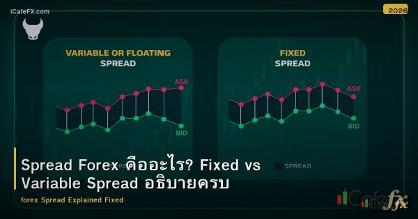 Spread Forex คืออะไร? Fixed vs Variable Spread อธิบายครบ