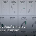 Spread Forex คืออะไร? Fixed vs Variable Spread อธิบายครบ