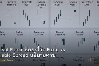 Spread Forex คืออะไร? Fixed vs Variable Spread อธิบายครบ