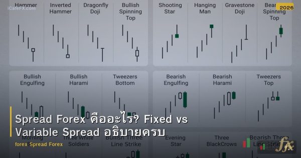 Spread Forex คืออะไร? Fixed vs Variable Spread อธิบายครบ