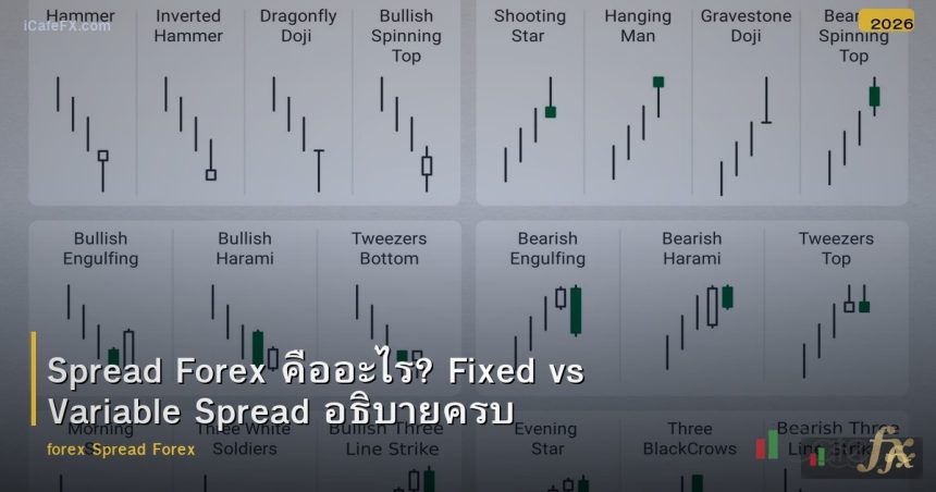 Spread Forex คืออะไร? Fixed vs Variable Spread อธิบายครบ