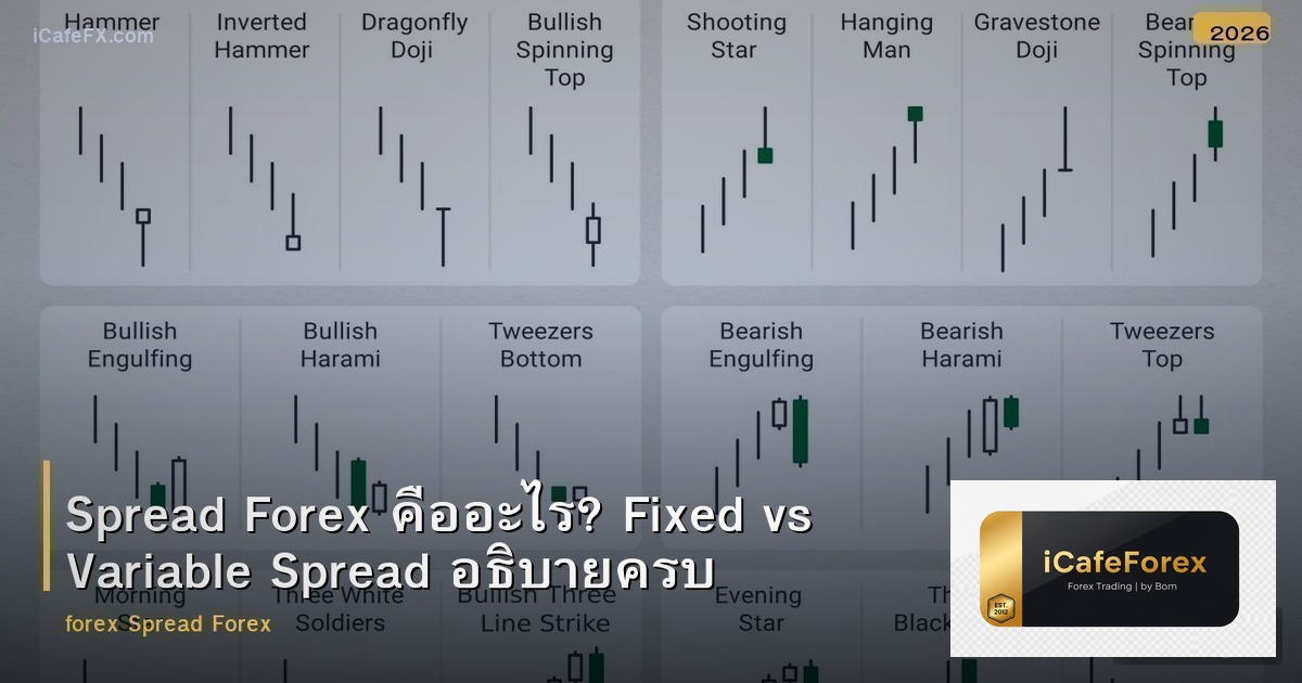 Spread Forex คืออะไร? Fixed vs Variable Spread อธิบายครบ