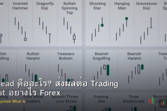 Spread คืออะไร? ส่งผลต่อ Trading Cost อย่างไร Forex