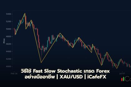 Stochastic วิธีใช้ Fast Slow Stochastic เทรด Forex