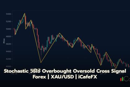Stochastic วิธีใช้ Overbought Oversold Cross Signal Forex